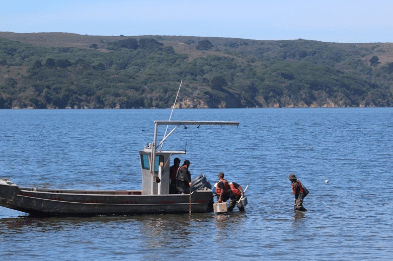 Screen Shot 2015-09-03 at 10.09.54 AM