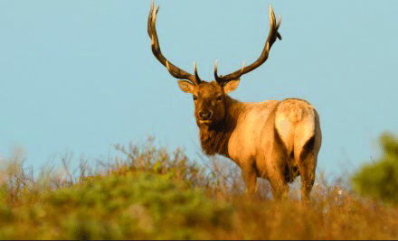 Screen Shot 2015-09-03 at 10.18.11 AM