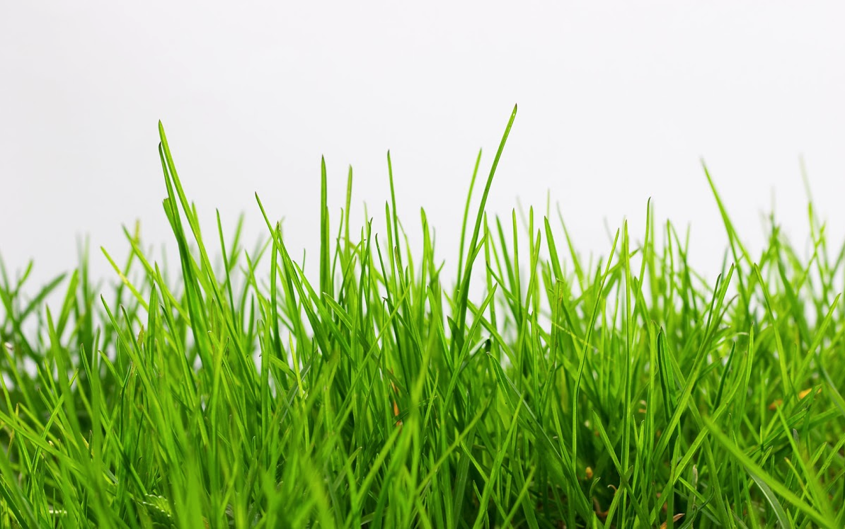 Screen Shot 2015-09-03 at 12.26.48 PM