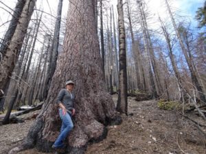 'The Westside [Plan] is absolutely the worst project I'v ever seen,' says EPIC's Kimberly Baker of the Marble Mountains logging plan. Photo courtesy of Brooke Anderson.