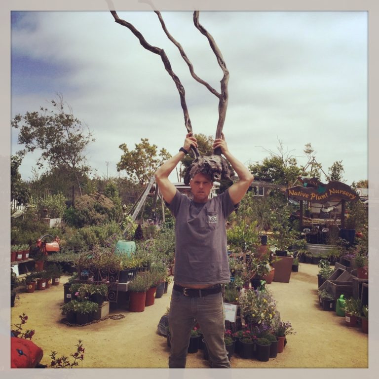 Home & Garden: Critical element