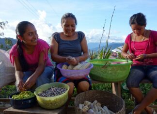 Independent farmers challenging chemical companies