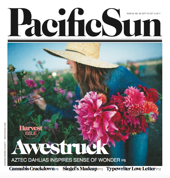 This Week in the Pacific Sun