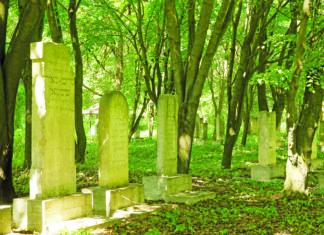 Wellness: Eco-Friendly Burial