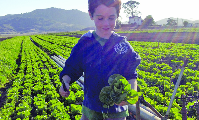 Food & Drink: CSA Plus