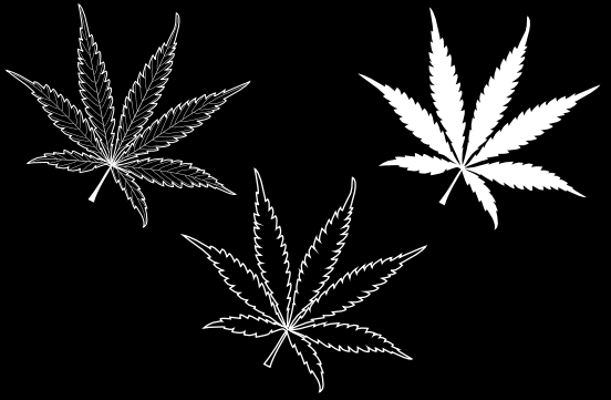 Upfront: Weed the People