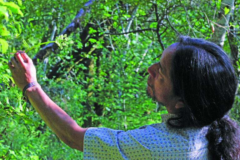 Feature: Mindful Foraging