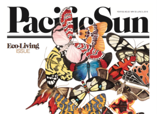 This Week in the Pacific Sun