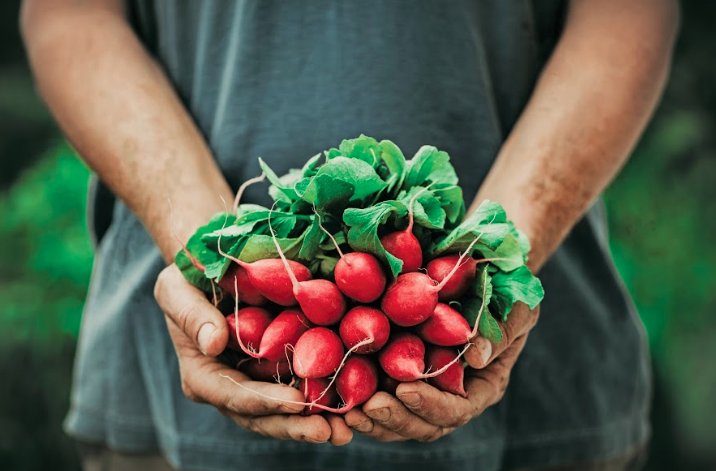 Food & Drink: Mainstream Movement