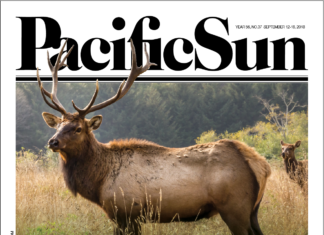 This Week in the Pacific Sun