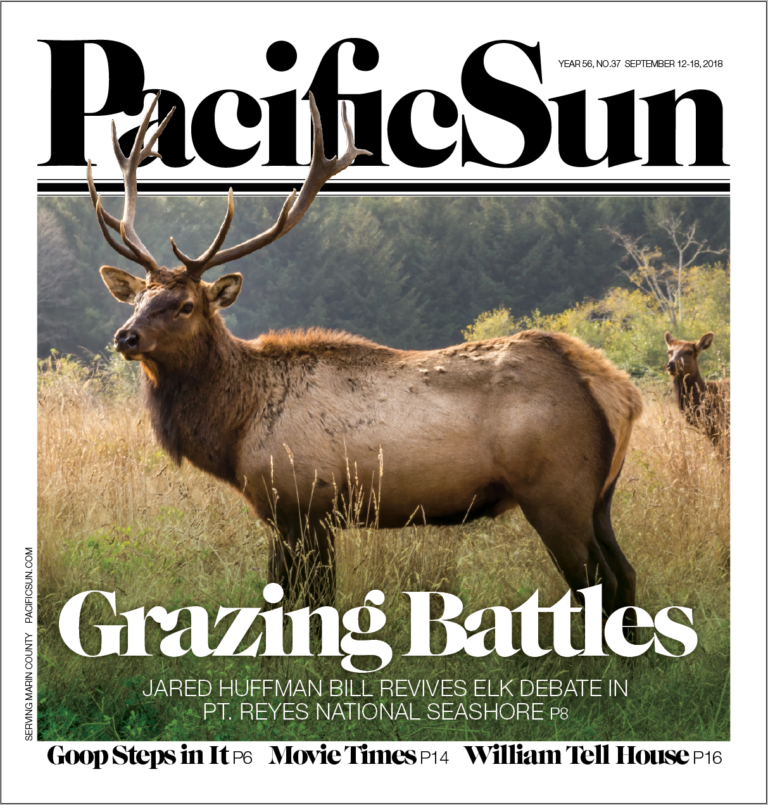 This Week in the Pacific Sun