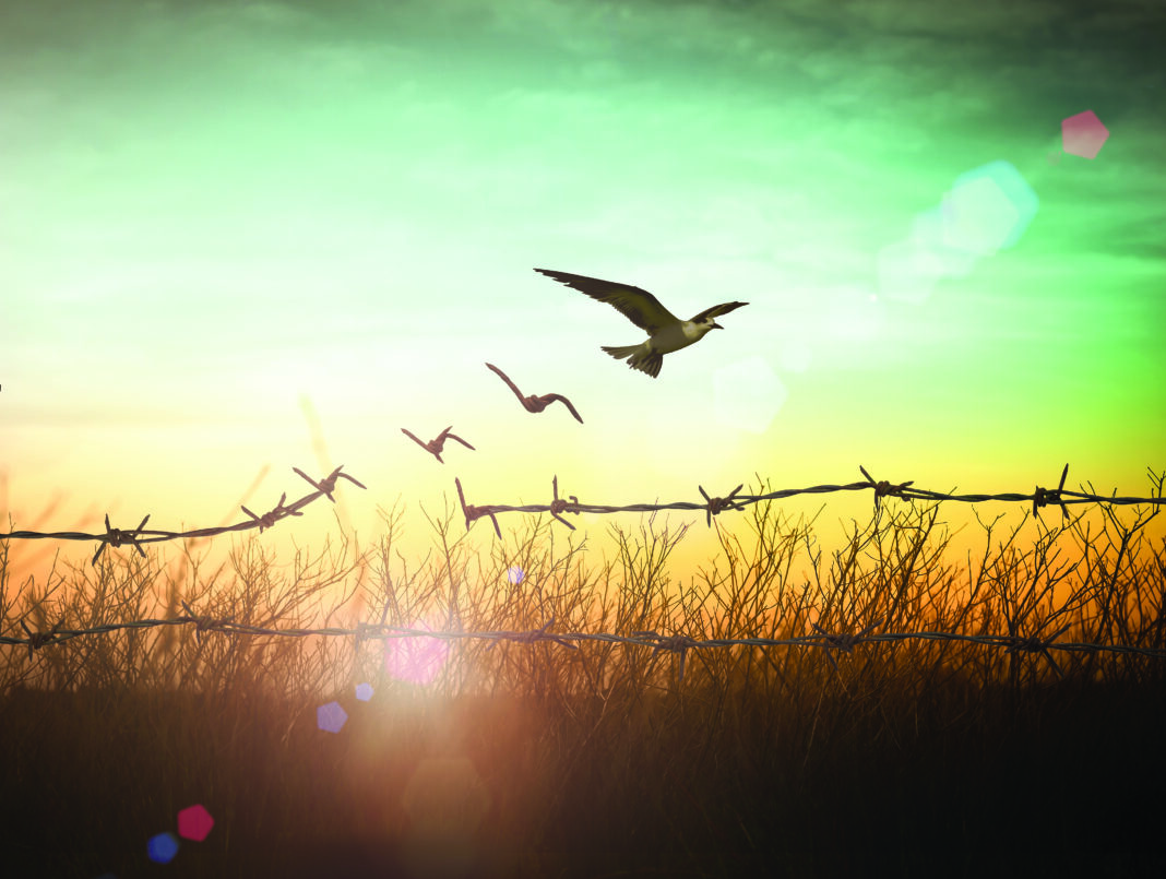 birdchain