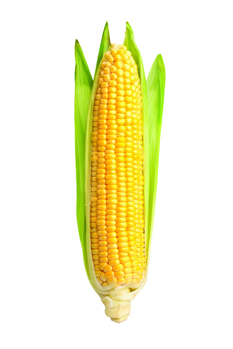 Dining: Sweet on Corn