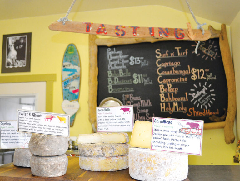 Surfin’ Curds