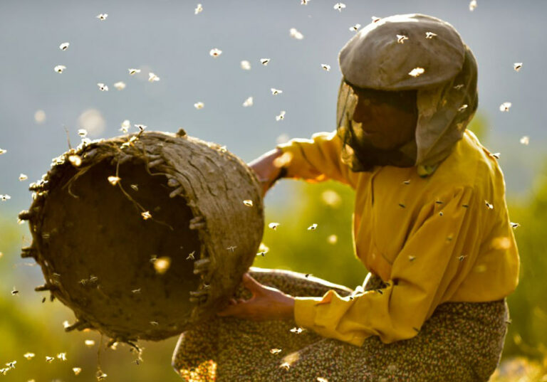 Bee Natural