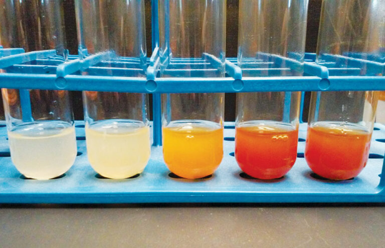 UCSC Microbe Machines