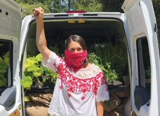 Delivering food security