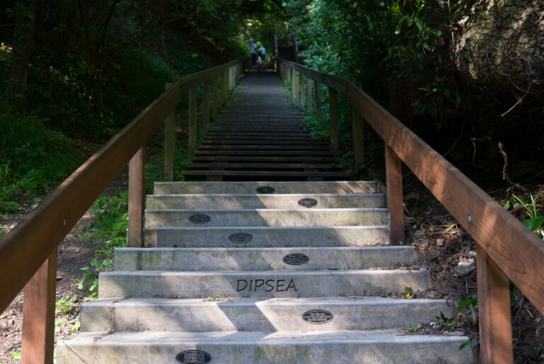 The Dipsea Race Is Latest Marin Event to Go Virtual