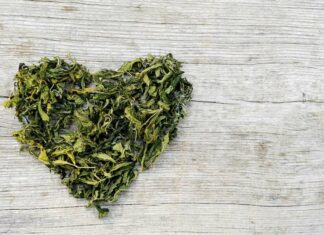 Jewel Mathieson: Fearless Activist