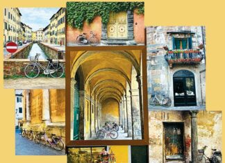 Popular Box Show Is Back