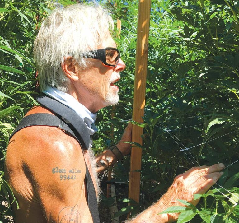A Farm and a Dispensary Bloom in Sonoma