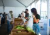 San Francisco-Marin Food Bank volunteers