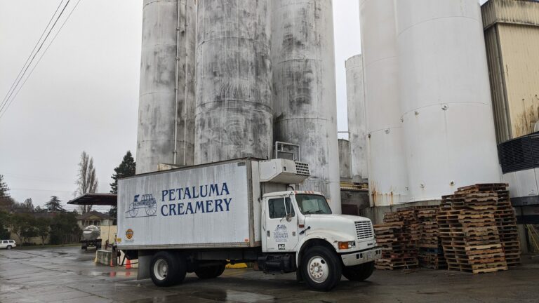 Petaluma Threatens to Shut Down Creamery Due to Safety Concerns