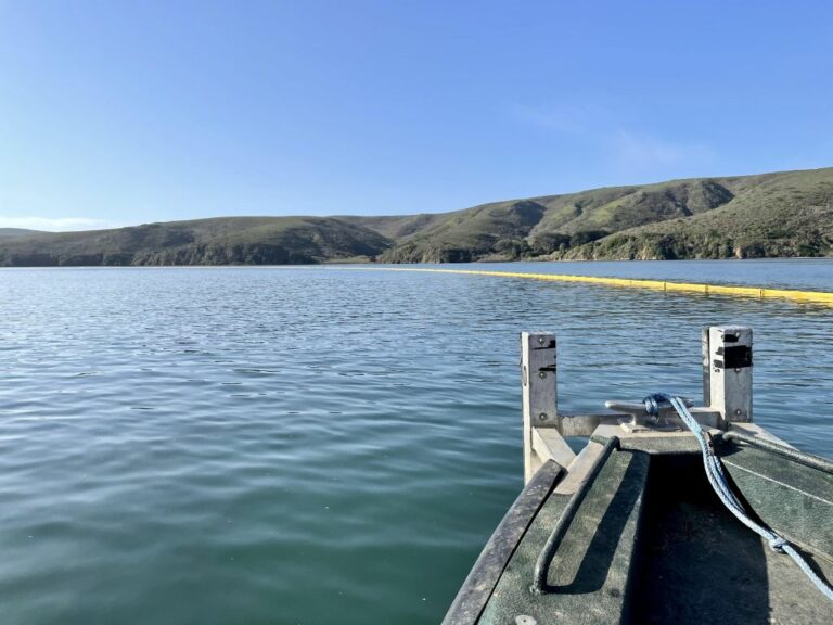 Cleanup of Sheen Continues Near Dillon Beach, No Oiled Wildlife Spotted