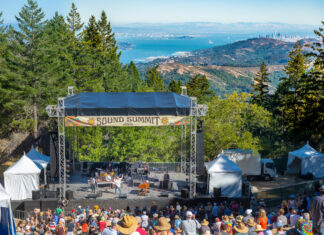 Best View at a Music Festival