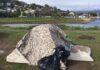 Marin’s Homeless Face Severe Lack of Shelter Beds, Supportive Housing Tent - Marin County, California