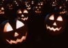 Halloween Gone Eco: Thank Ghouls Click to read