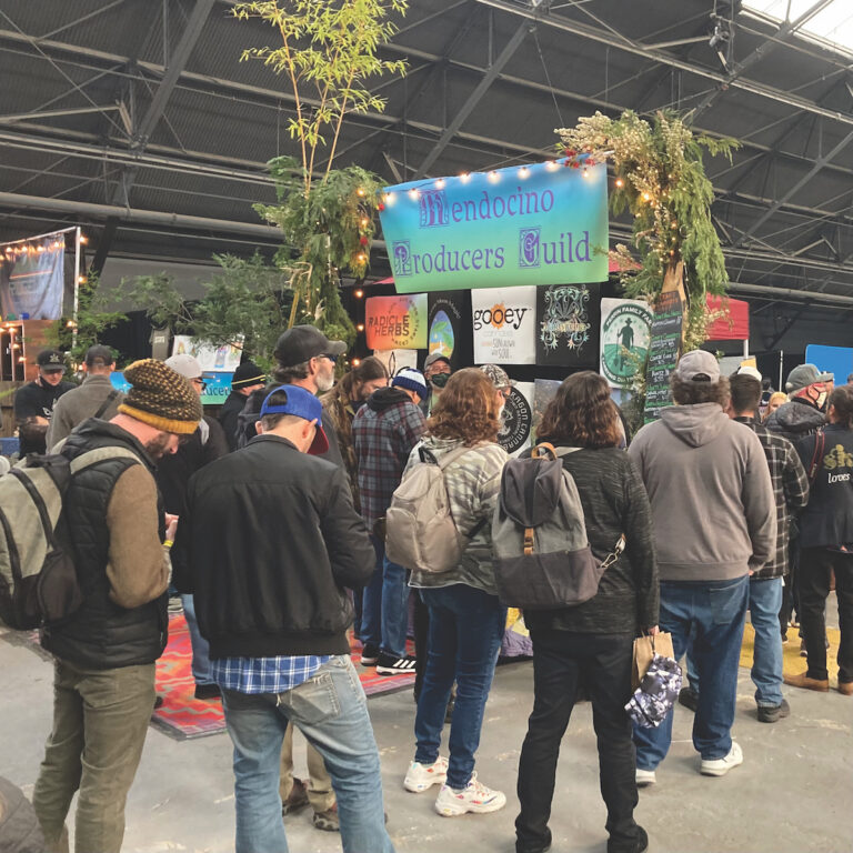 Green Aid—Emerald Cup Small Farms Initiative