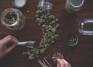 High Horizons: The Future of Cannabis