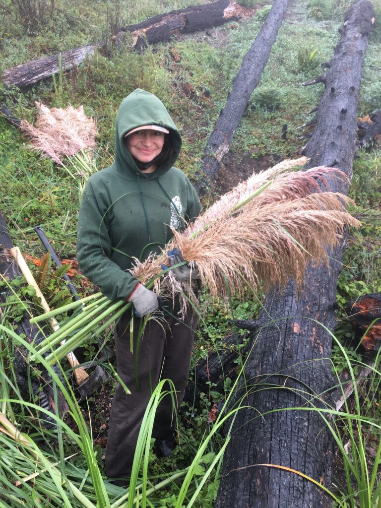 Conservation Corps Celebrates 40 Years of Service