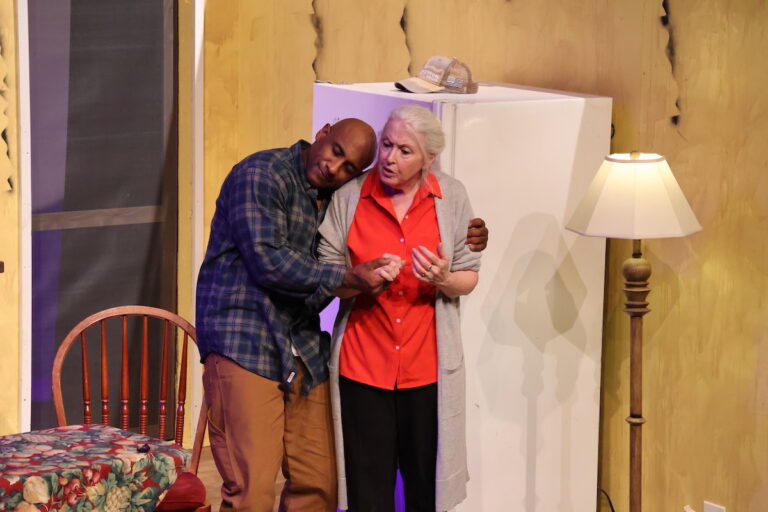 Will Eno’s The Realistic Joneses