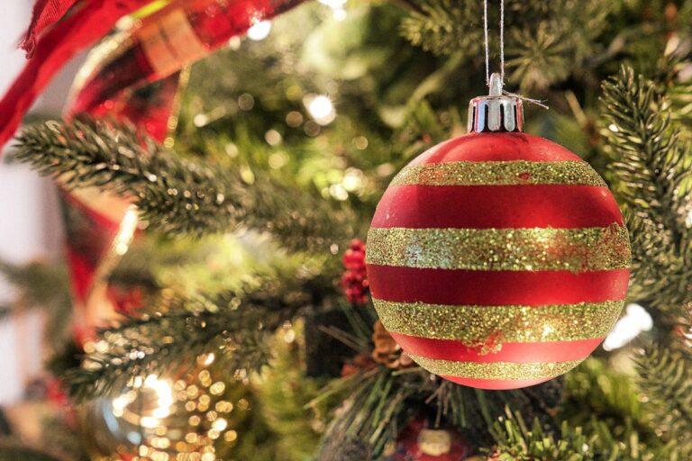 Give Local—Marin’s holiday offerings