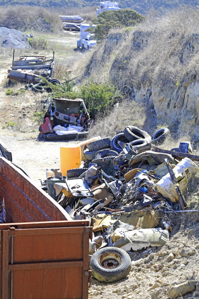 Jocelyn Knight - E Ranch dump