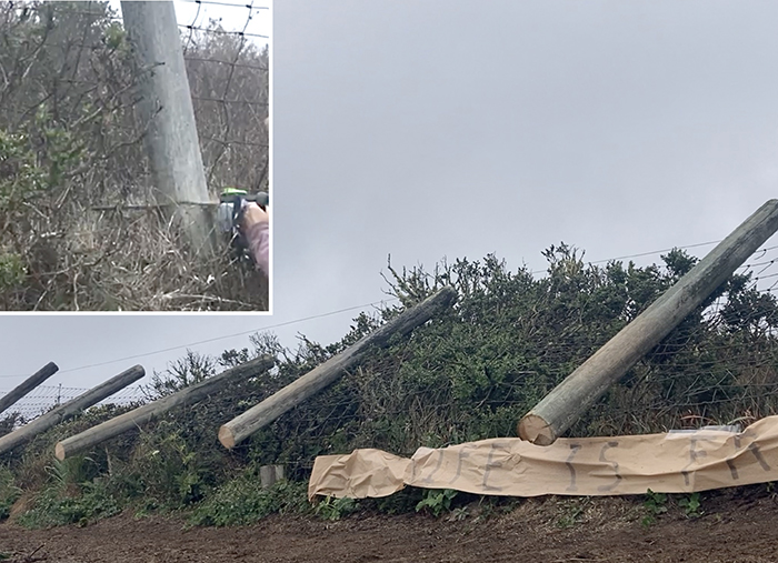 @iliketuleelk/Twitter - Point Reyes National Seashore fence