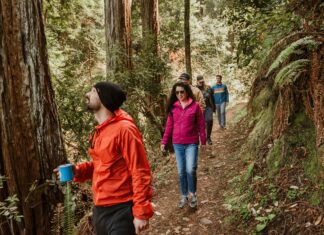 California set to celebrate second annual State Parks Week