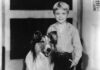 Love of dogs continues for iconic star of Lassie TV show