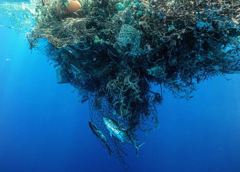 North Bay nonprofit removes deadly ghost nets from Great Pacific Garbage Patch