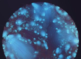 Petaluma Art Center’s ‘My World in Blue’ exhibit.