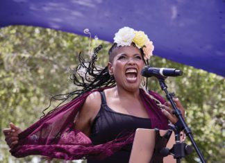 Petaluma’s Rivertown Revival Offers Music & Art Waterfront art and music festival returns to Petaluma