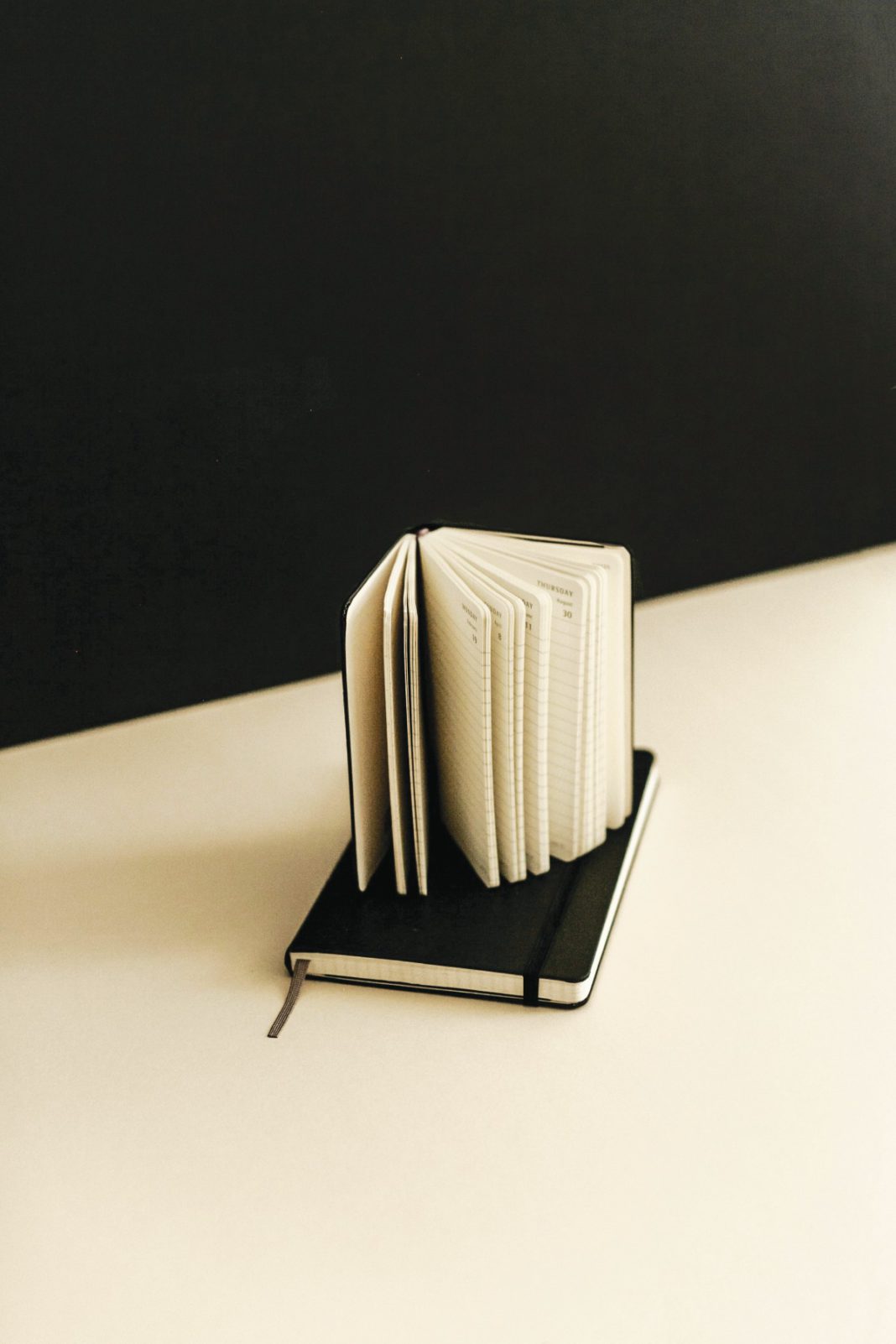 the North Bay is a treasure trove of photogenic objects to elevate your favorite influencer.