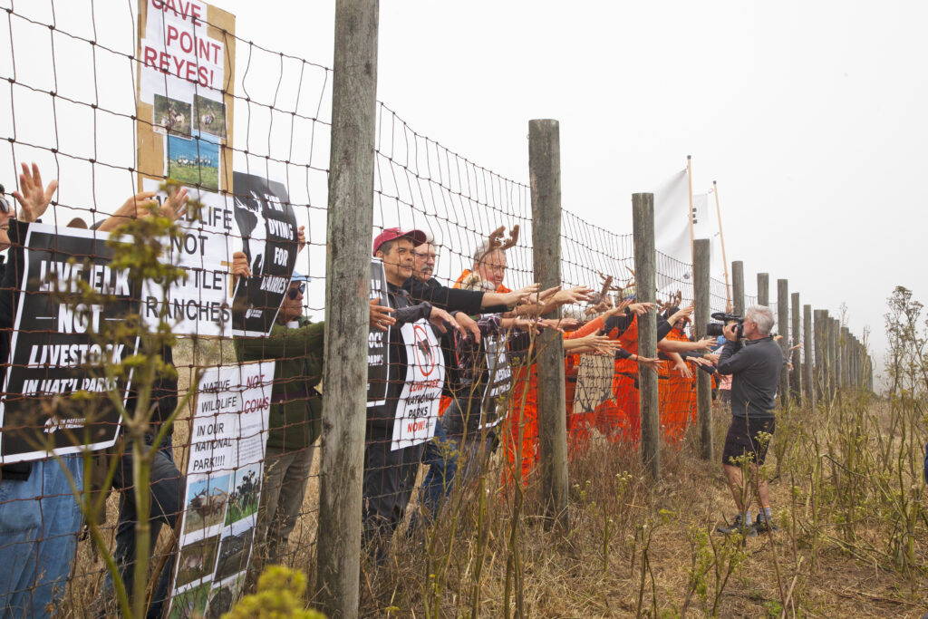 Jocelyn Knight - Point Reyes National Seashore protest - July 2021