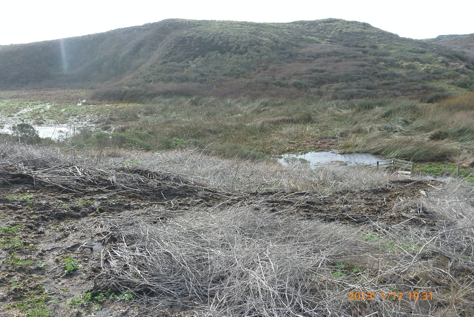 Point Reyes National Seashore Kehoe Creek manure flow - Peter Byrne